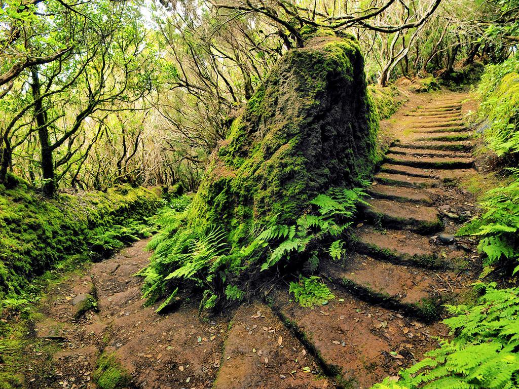 Casa Villa Tenerife Las Galletas Kültér fotó